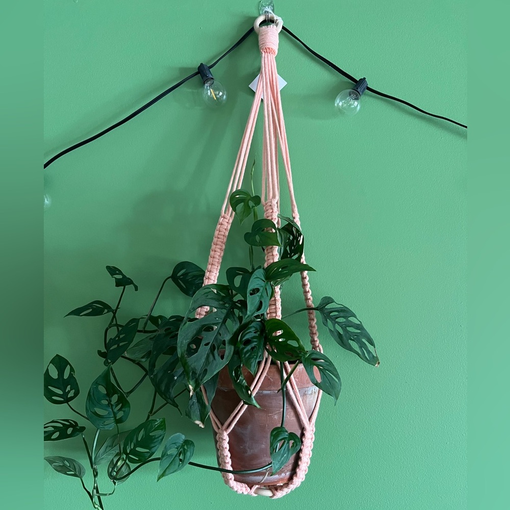 macrame plant hanger